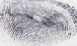 Fingerprints