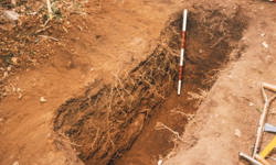 Forensic Archaeology