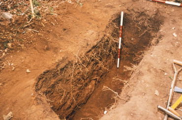 Forensic Archaeology